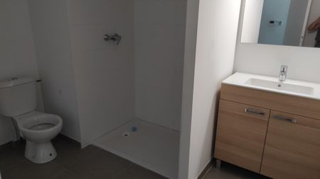 Location Appartement 2 pièces 42m² GIVORS 69700 - Photo 3