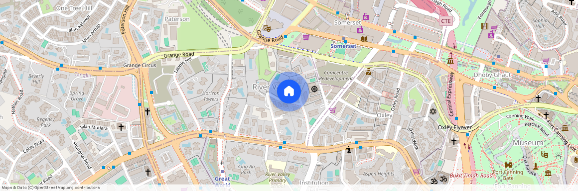 33 St Thomas Walk, D09, 238113, Singapore