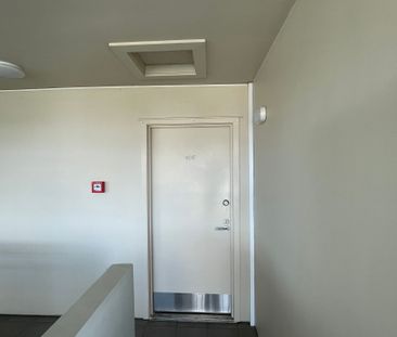 Modern Apartment in the Heart of Flat Bush - Photo 5