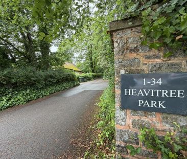 Heavitree Park, Exeter - Photo 6