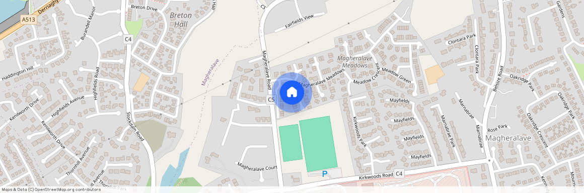 3 Meadow Lane, Lisburn, BT28 3RL
