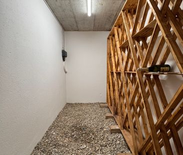 Propriété de standing rénovée aux portes de Morges - Photo 5