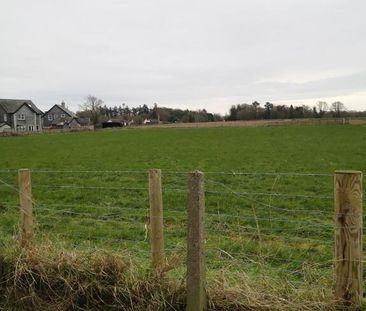 Greenview Avenue, Antrim, BT41 4EJ - Photo 6