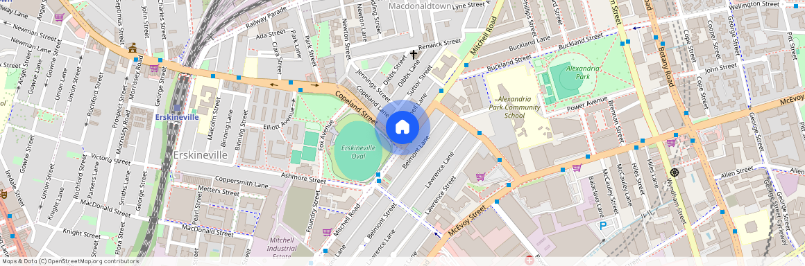 141 Mitchell Road, NSW 2015, Alexandria