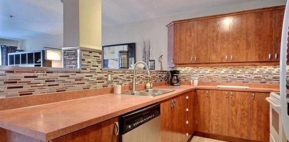 Condo 4 1/2, Hochelaga - Photo 2