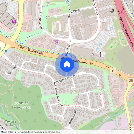 9 Northern Rata Place, Albany, North Shore City