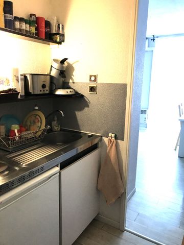 Location Appartement 1 pièce 20m² - Photo 3