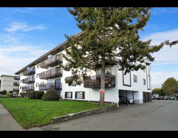 Blue Cedar Apartments | 820 Craigflower Road, Victoria - Photo 1