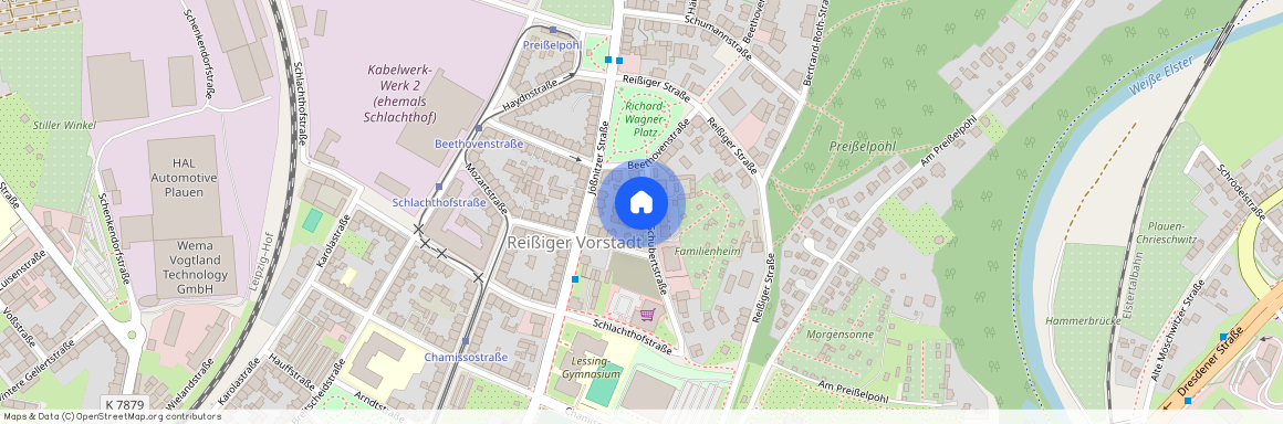 Schubertstraße 17, 08525, Plauen