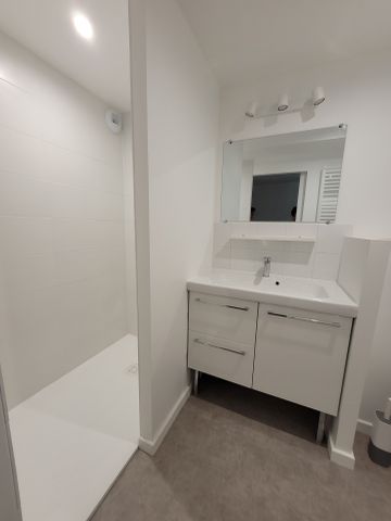 Location Appartement 1 pièce 12m² SABLE SUR SARTHE 72300 - Photo 5