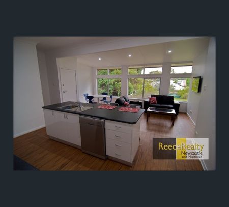 64 Moore Street, Birmingham Gardens, NSW 2287 - Photo 5