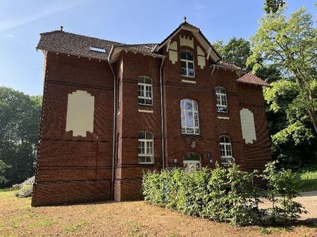 Außergewöhnliche Wohnung im Denkmalschutz mit Parkettboden - Photo 4