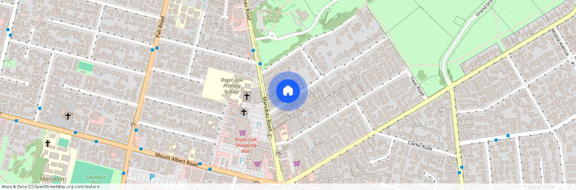 4 Raurenga Avenue, Royal Oak, Auckland