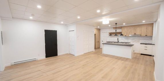 4 1/2 rénové à louer - Centre-ville St-Hyacinthe Condo / appartement / logement - Photo 2