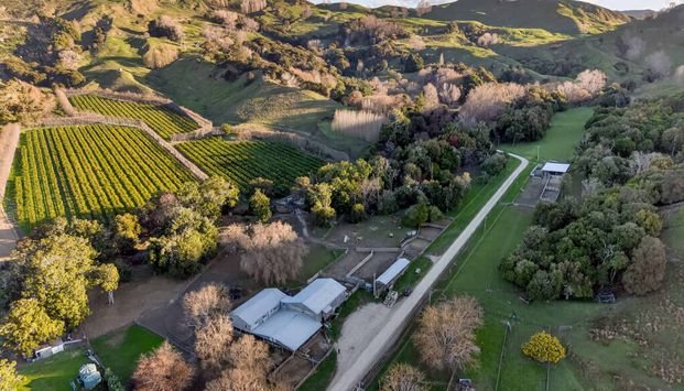 An Exceptional Coastal Lifestyle - Photo 1