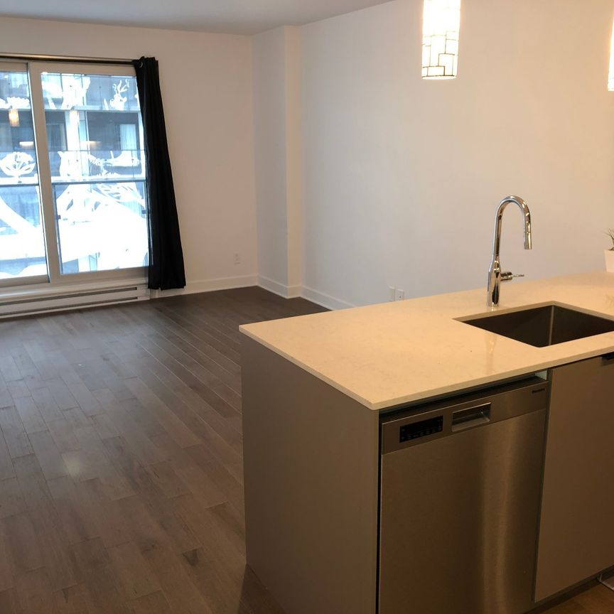 101 Rue Peel, Montréal (Le Sud-Ouest), QC H3C - Photo 1