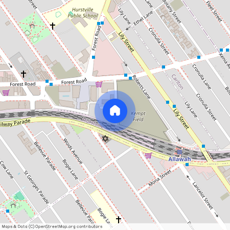 12 Jack Brabham Drive, NSW 2220, Hurstville