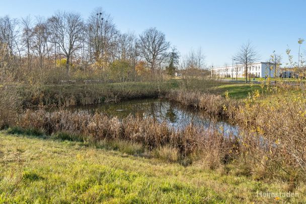 Vanddråben 62, 1. th., 5240 Odense NØ - Foto 1