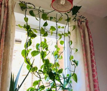 Room in a Shared Flat, Gascony Avenue, NW6 - Photo 4