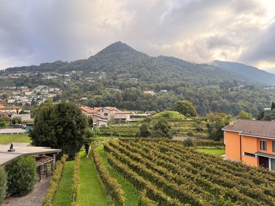 Beautiful 3.5 room apartment in a very convenient location quiet - Photo 1