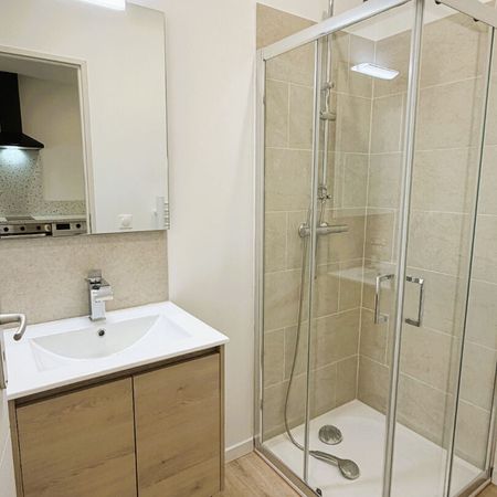 Location Appartement 1 pièce 25m² - Photo 4