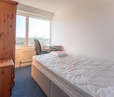 Timber Dene, - Photo 6
