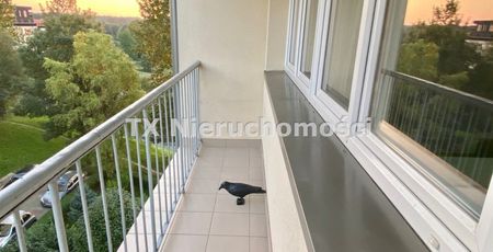 Sikornik - Фото 4