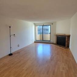 Richmond Spacious Newly Reno One Bedroom/One Bath Apartment for Rent - Photo 2