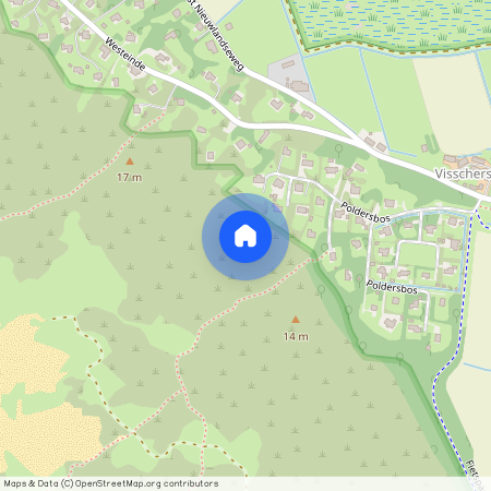 de duinen van Ouddorp