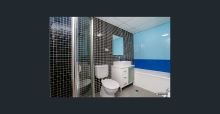 Pet Friendly Unit with Large Courtyard - Photo 4