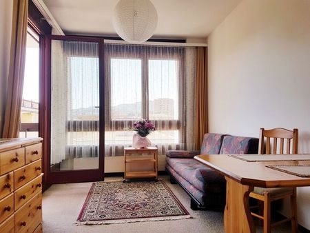 2-ROOM APARTMENT IN VIGANELLO (TI), FURNISHED - Photo 3