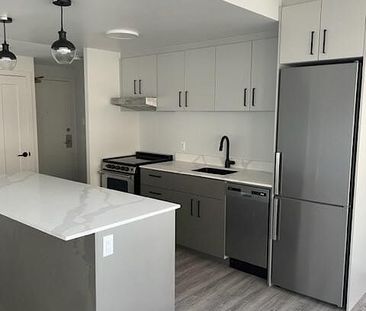 257 Lisgar Street, Centretown, Ottawa, ON - Photo 5