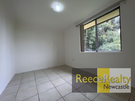 4/3 Harvard Street, Jesmond - Photo 3