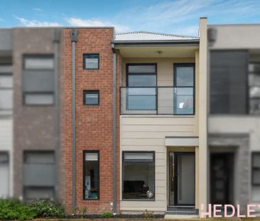 “M A L L A R D” - Photo 4