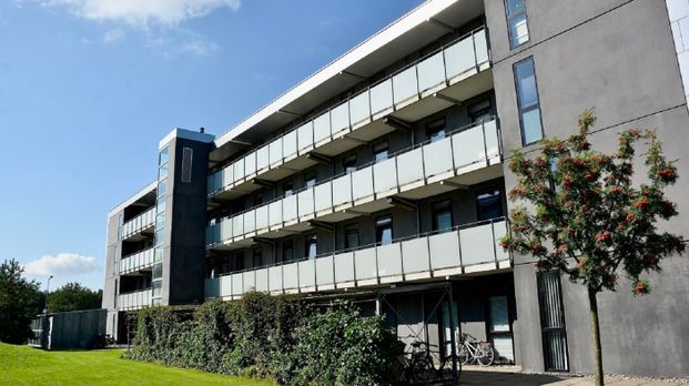 2 værelses – Munkebjergvænget 5 F, 1. lejl. 5 – Odense M - Foto 1