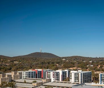 224/39 Benjamin Way, Belconnen ACT 2617 - Apartment For Rent | Domain - Photo 5