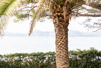 House for rent in Alcudia