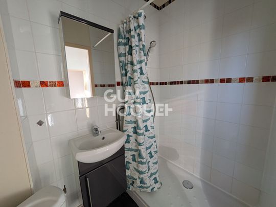 Location Appartement 1 pièce 19m² APPOIGNY 89380 - Photo 1
