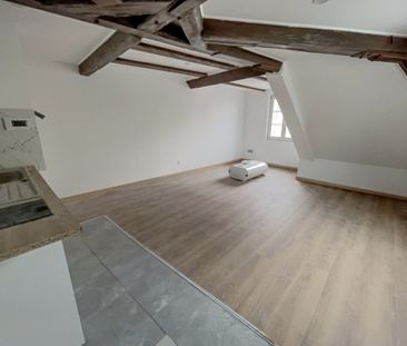 Location Appartement 1 pièce 22m² SELESTAT 67600 - Photo 2