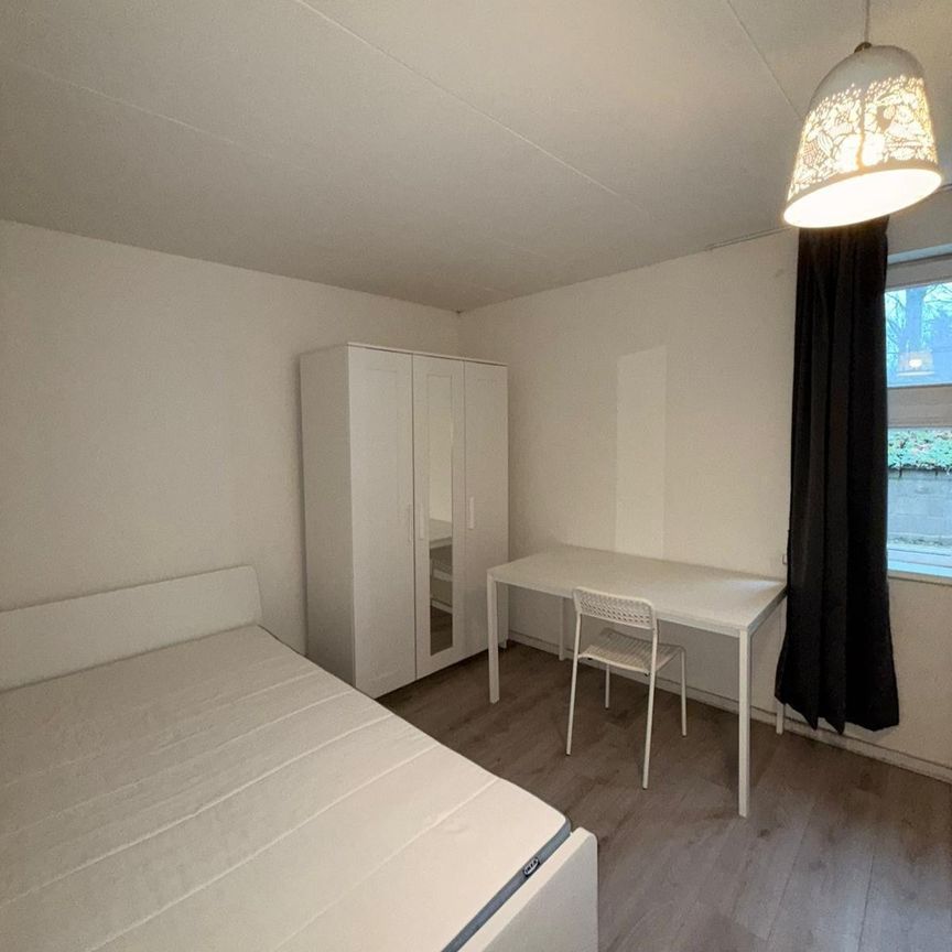 Te huur: Kamer Dorpstraat in Maastricht - Foto 1