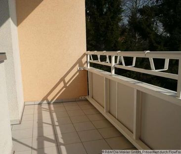 Wohnen am Großen Garten - die Natur vor der Tür! - Photo 6