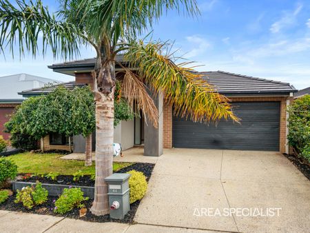44 Strettle Crescent, Cranbourne North VIC 3977 - House For Rent | Domain - Photo 5
