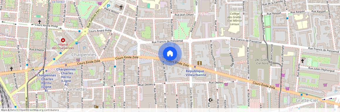 99 cours Emile Zola, 69100 Villeurbanne