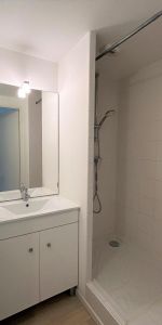 Location Appartement 1 pièce 19m² TOURS 37000 - Photo 4