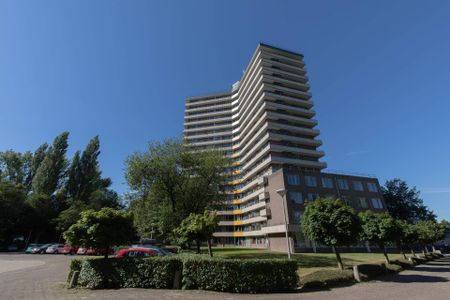 Chambre d'étudiant Dijkgraaf, Wageningen - À louer - Foto 3