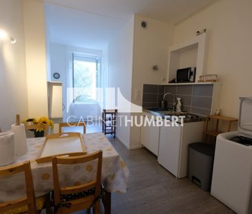 Location Appartement 2 pièces Meublé 34m² ST ETIENNE 42000 - Photo 5