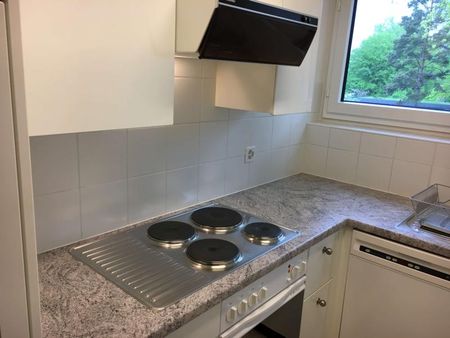 Simon #1 - Experience 60's Charm in Zürich's Green Oasis - Foto 3