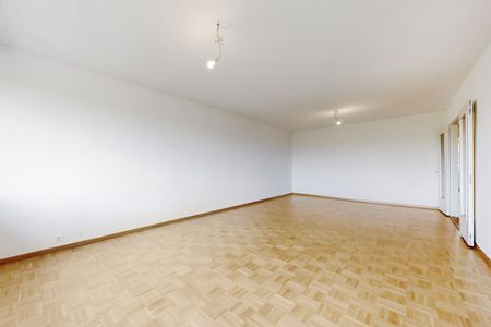 Appartement pour créer votre cocon familial au Petit-Lancy - Photo 3