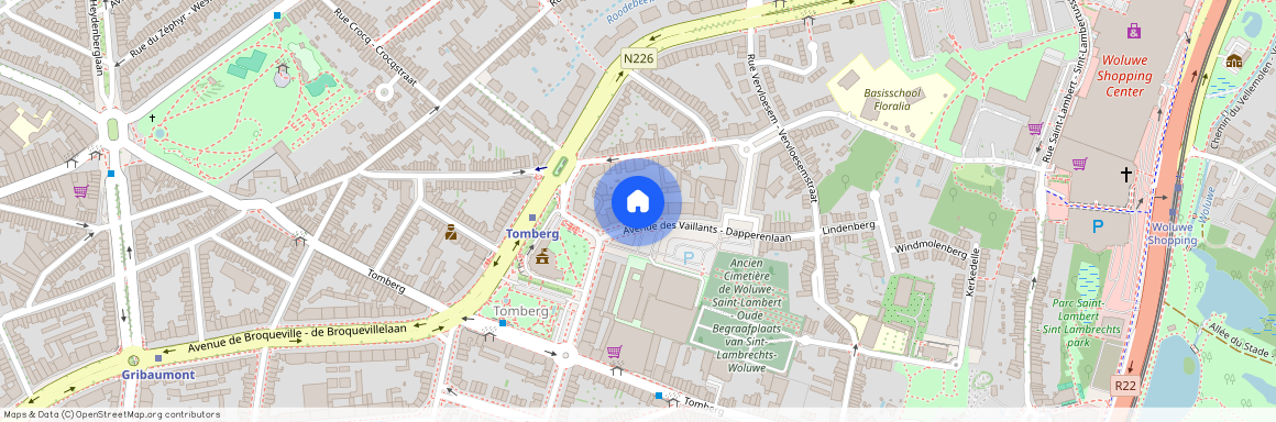 Avenue des Vaillants, 7, 2D, 1200, Woluwe-Saint-Lambert