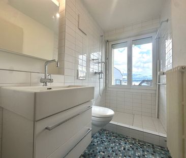 Wohnen mit Weitblick Ihre Terrasse über dem Zürichsee! - Photo 5